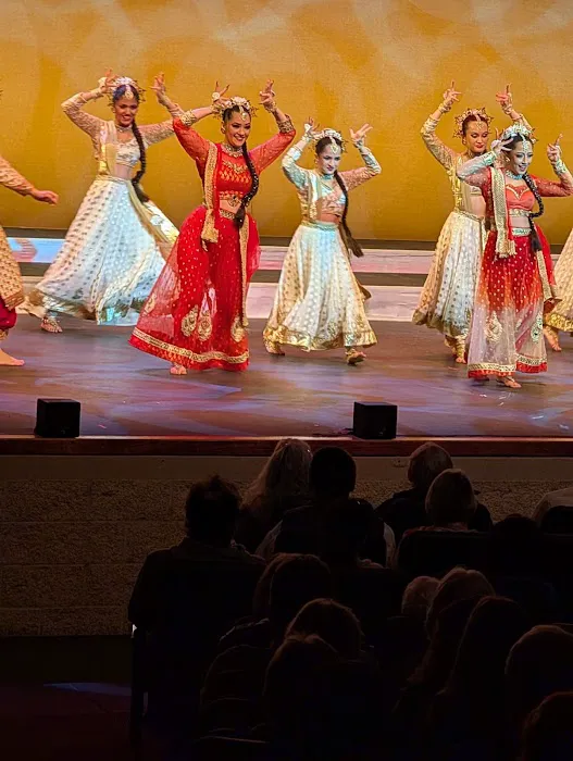 Rhythm India Indo-Fusion Bollywood Dance Classes and Academy Picture 4