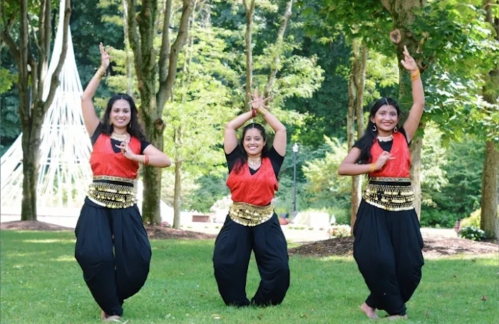 Cinemudra Dance Academy Picture 4