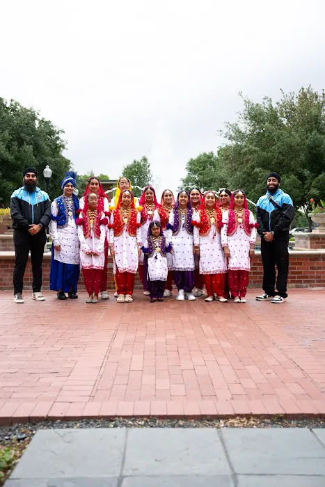 Houston Bhangra Academy Picture 4