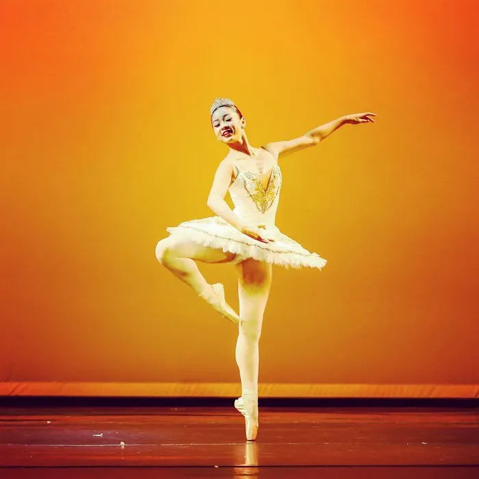 Vitacca Ballet & School For Dance, The Woodlands Picture 6