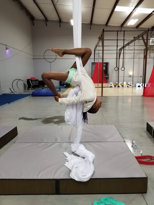 Axis Aerial Arts Picture 9