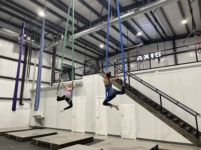Axis Aerial Arts Picture 1