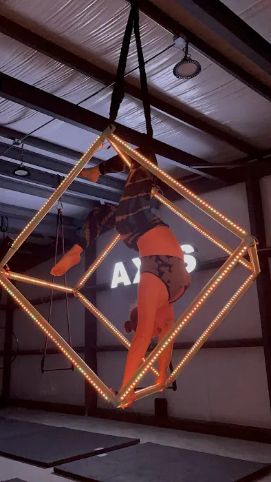 Axis Aerial Arts Picture 2