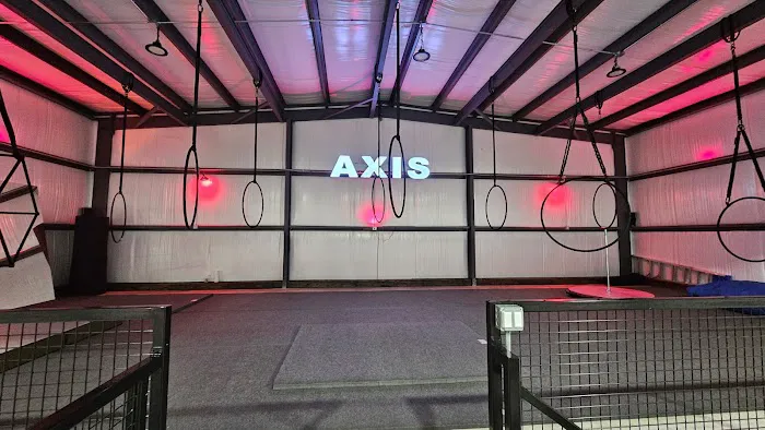 Axis Aerial Arts Picture 8