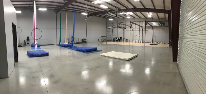 Axis Aerial Arts Picture 7