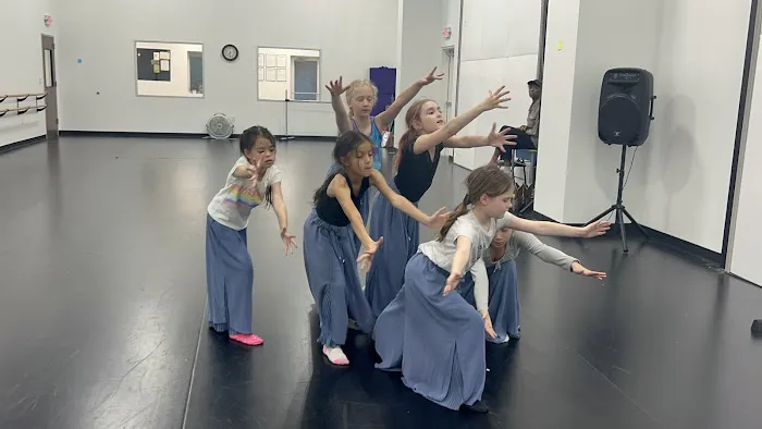 Woodlands Dance Theatre Corporation Picture 5