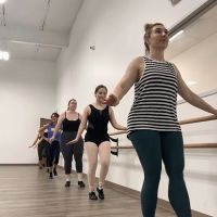 Woodlands Dance Theatre Corporation ico