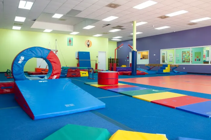 The Little Gym of Katy Picture 9