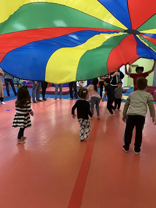 The Little Gym of Katy Picture 5