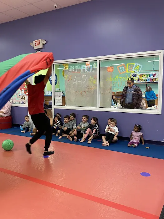 The Little Gym of Katy Picture 6