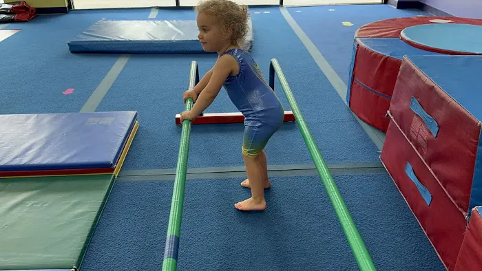 The Little Gym of Katy Picture 1