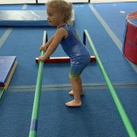 The Little Gym of Katy ico