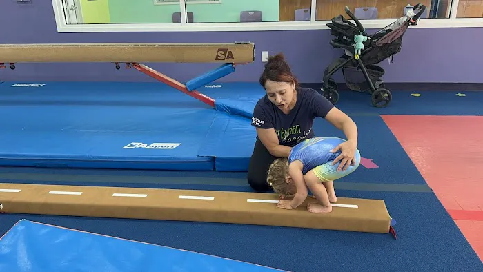 The Little Gym of Katy Picture 3