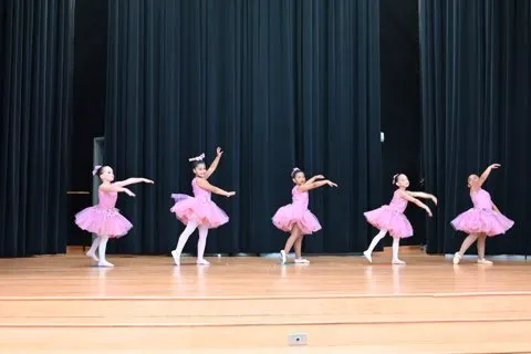 Ballet Elle Picture 3