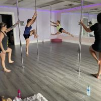 Premiere Pole and Fitness ico
