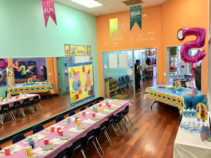 The Little Gym of The Woodlands Picture 4