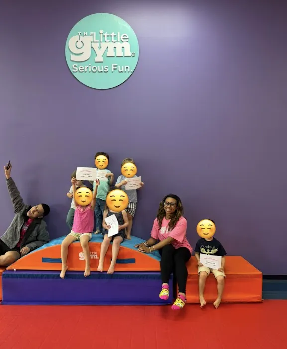 The Little Gym of The Woodlands Picture 7