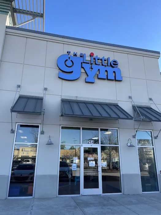 The Little Gym of The Woodlands Picture 8