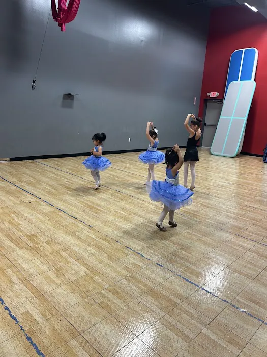Firefly Arts Dance Studio Picture 6