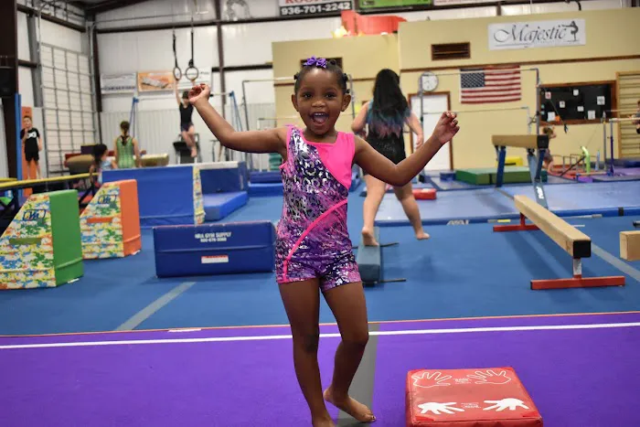 Majestic Youth Sports Center Picture 9