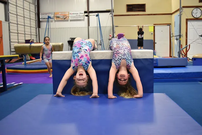 Majestic Youth Sports Center Picture 1