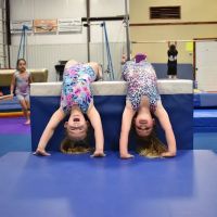 Majestic Youth Sports Center ico