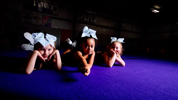 Majestic Youth Sports Center Picture 8