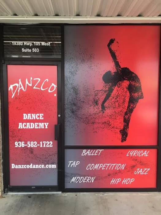 Danzco. Dance Academy Picture 3