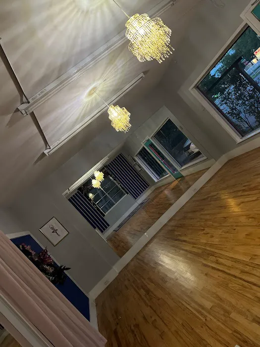 RRYSA's Art of Dance Studio Picture 5