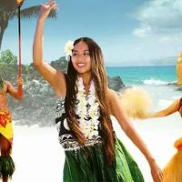 Hawaiian Entertainment Co ico