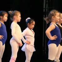 White Marsh Ballet Academy ico