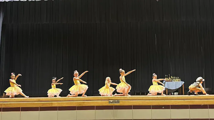 Anna Apicella School of Dance Picture 6