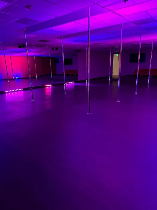 Pole Plus Studio Picture 1