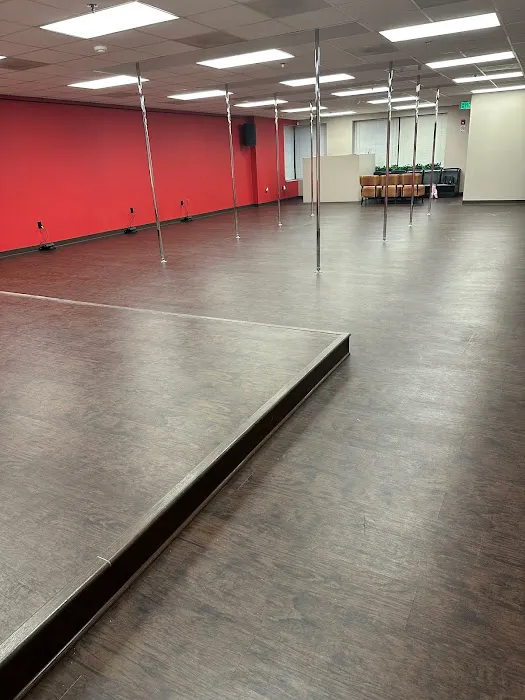 Pole Plus Studio Picture 5