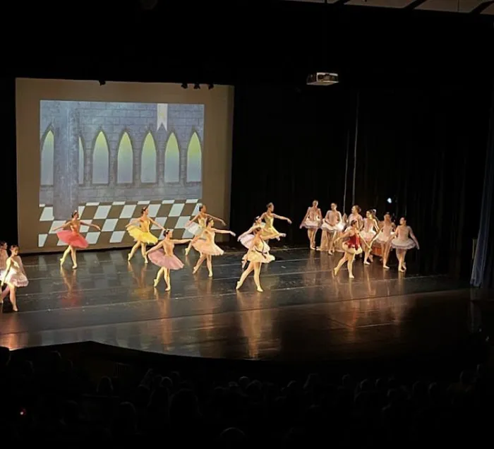 The Moving Company Dance Center Picture 6