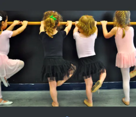 Dancer's Dreams Inc Picture 3