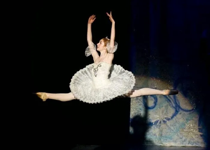 The Dance Academy Picture 4