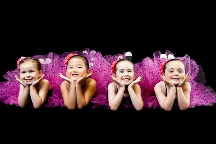 The Dance Academy Picture 5