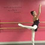 The Dance Academy