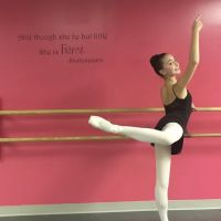 The Dance Academy ico