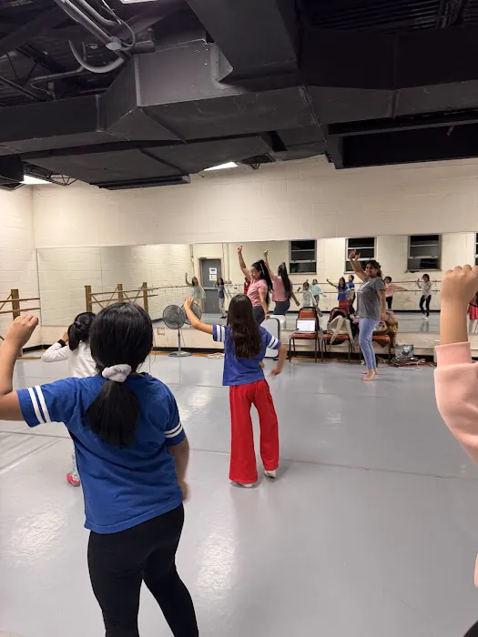 BEND IT LIKE BOLLYWOOD DANCE CO. Picture 6