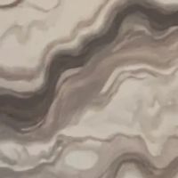 The Promenade Dance Studio, LLC ico