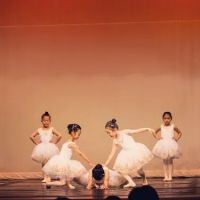 Columbia Youth Ballet ico