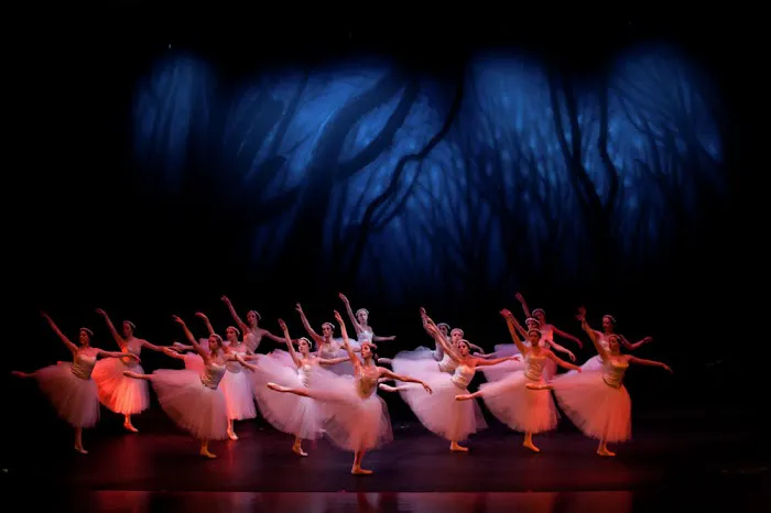 Baltimore Ballet Picture 2