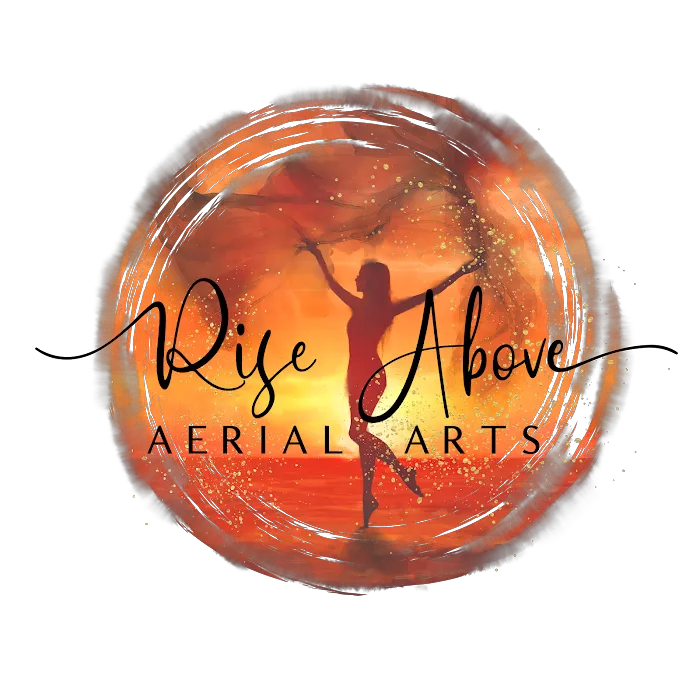 Rise Above Aerial Arts Picture 6