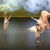 Misako Ballet Studio ico