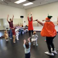 Carroll County Dance Center ico