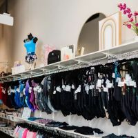 Dance Shoppe on the Boulevard ico