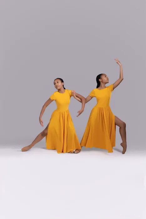 Divine Dance Institute Picture 2