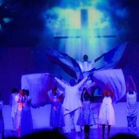 Divine Dance Institute ico